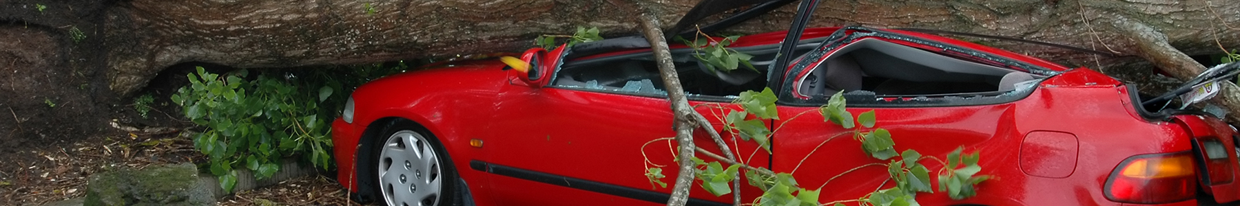 Auto Insurance